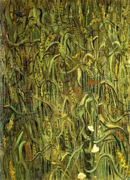 Vincent Van Gogh : Ears of Wheat